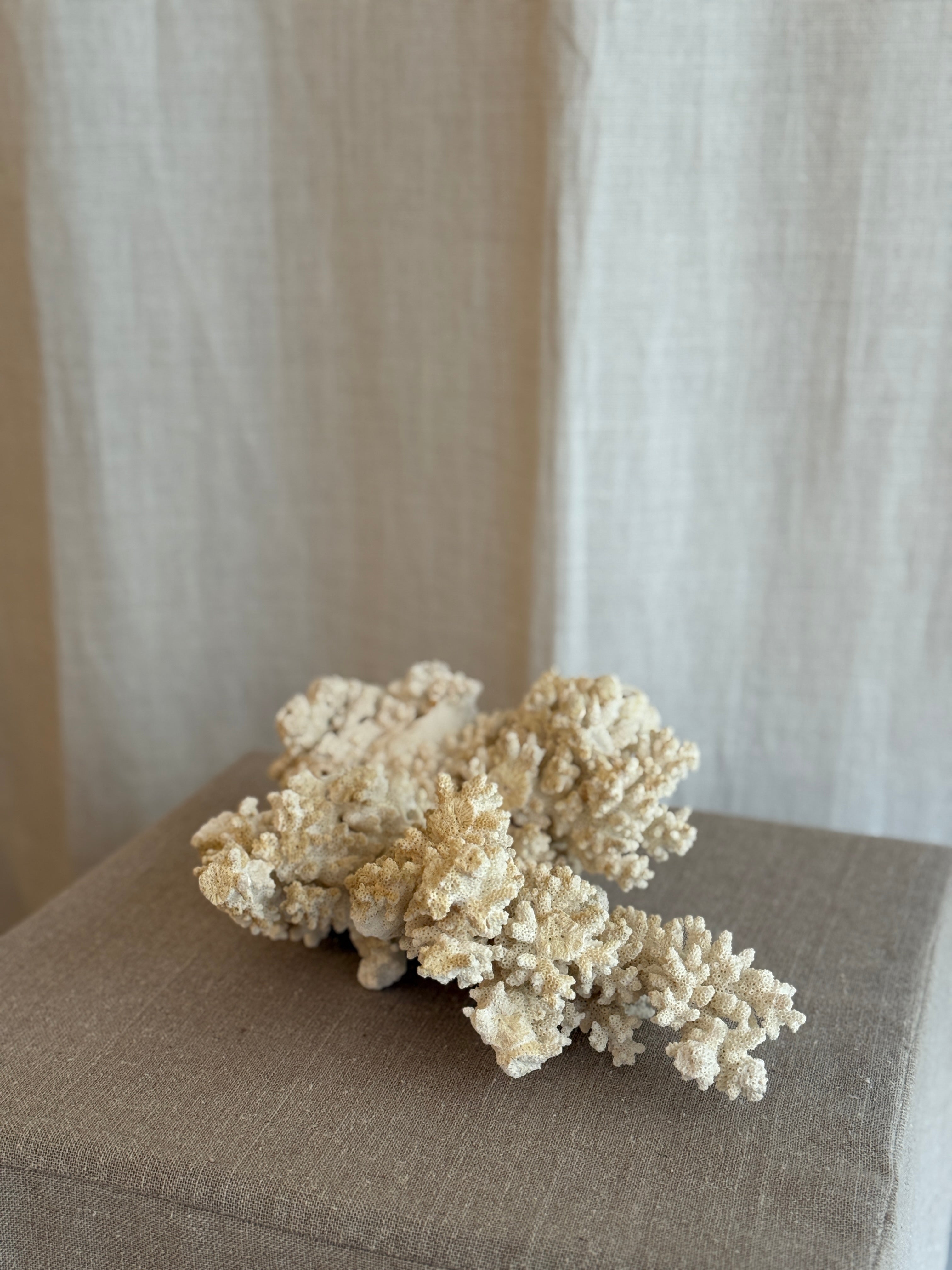 Korall fra 1950-tallet