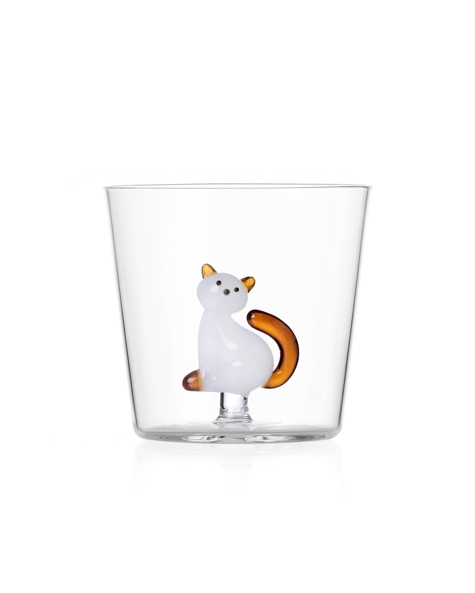 Tabby Cat - White Cat With Amber Tail
