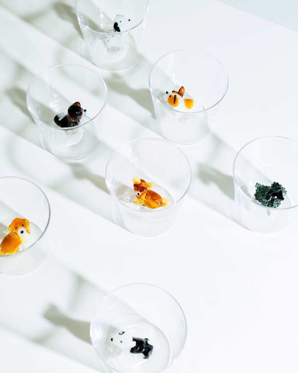 Dogs Glass - French Bulldog