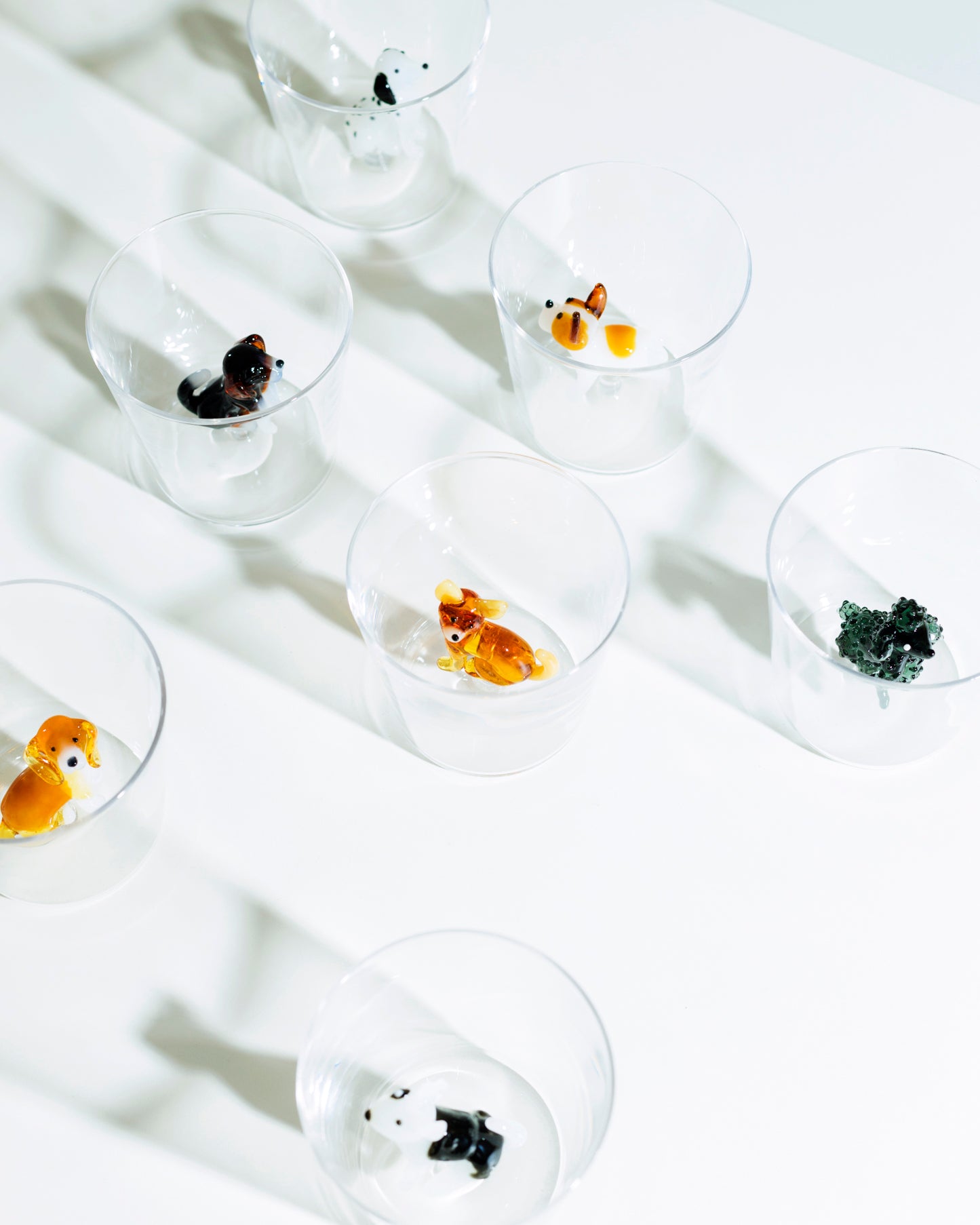 Dogs Glass - French Bulldog