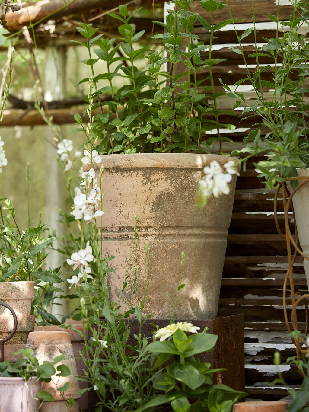 Patricia Krukke Ø22 - Patina