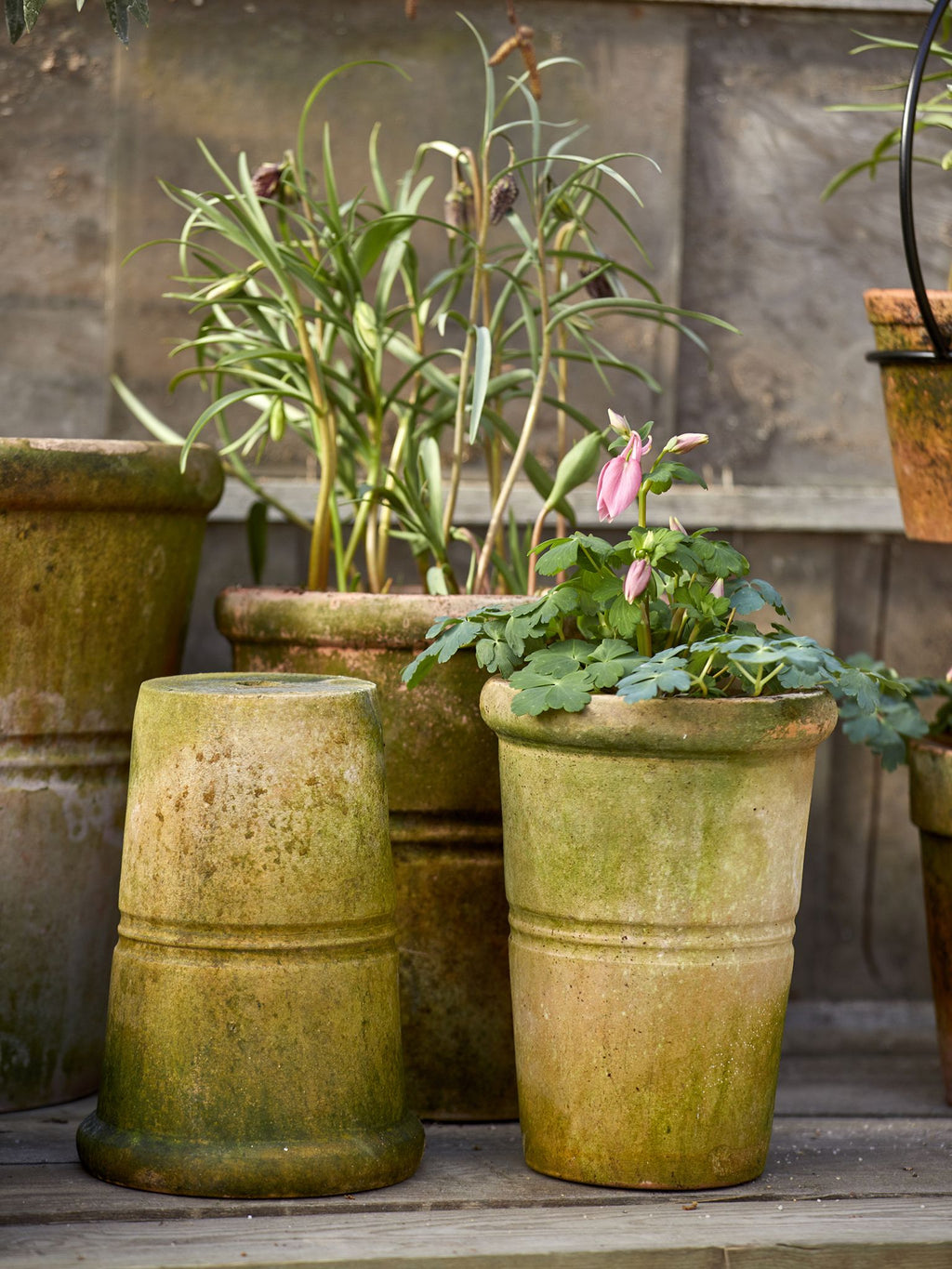 Patricia Krukke Ø22 - Patina