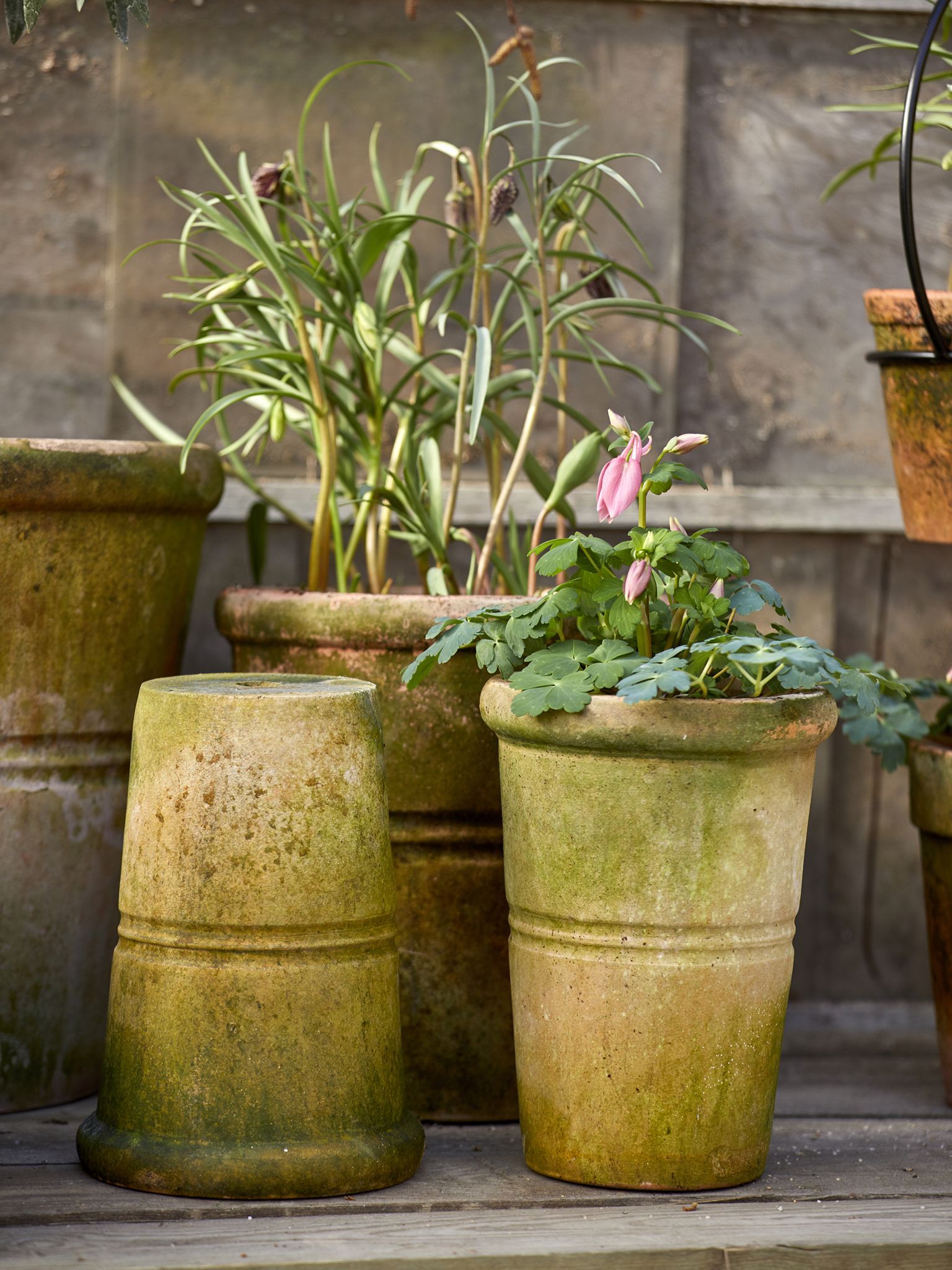 Patricia Krukke Ø22 - Patina