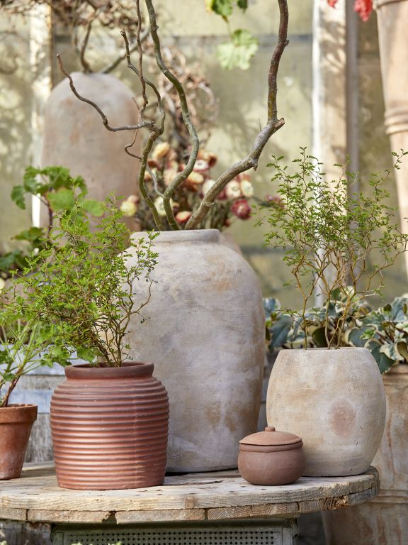 Alva Krukke - Antique Terracotta
