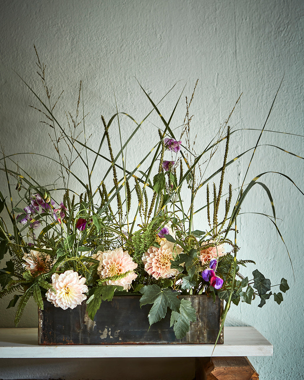 Krukke Robust - L56 x B16 x H21 cm