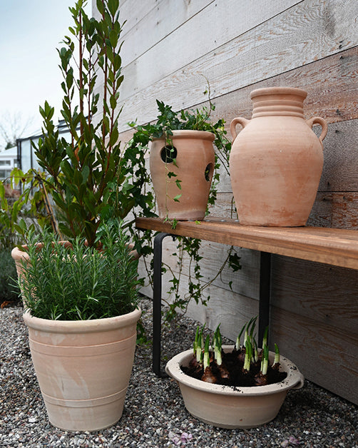 Terrakotta Urtepotte Liten