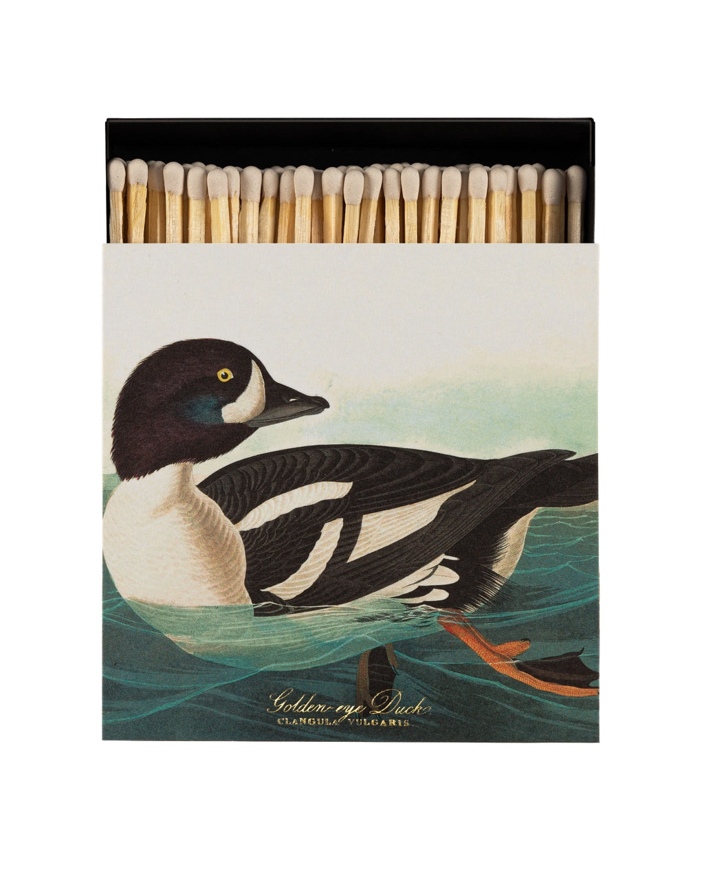 Golden-Eye Duck - Fyrstikker