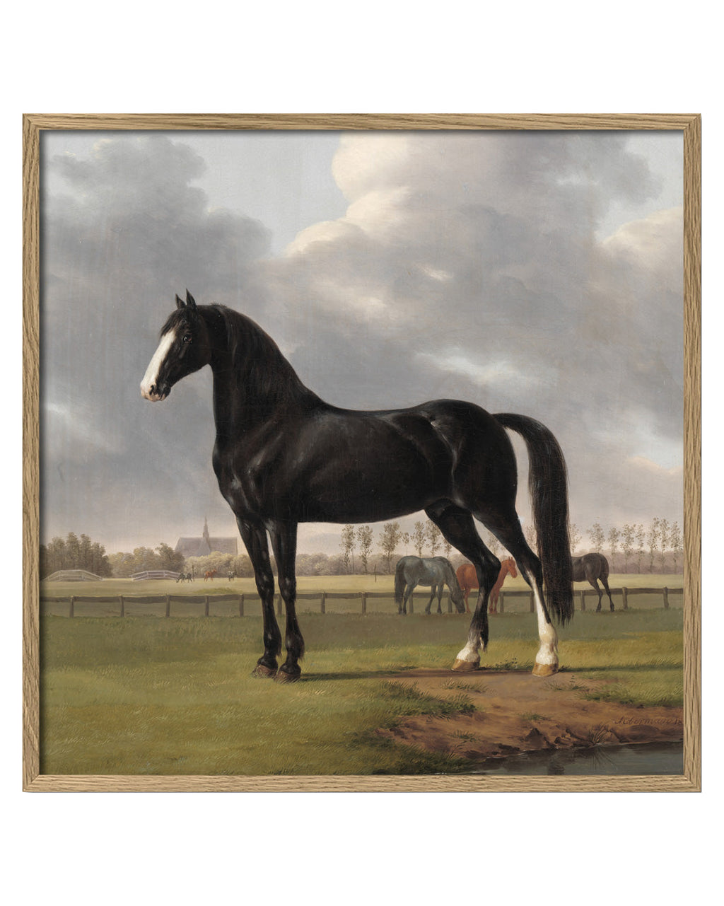 Majestic Black Horse