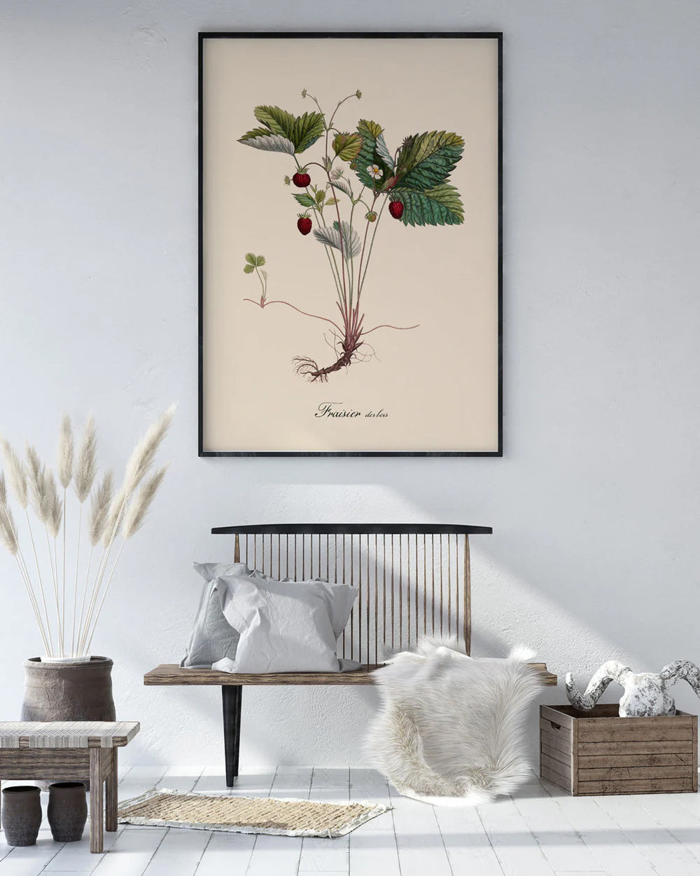 Fraisier Des Bois