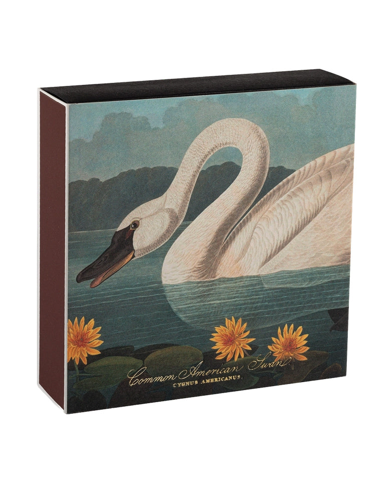 Common American Swan - Fyrstikker