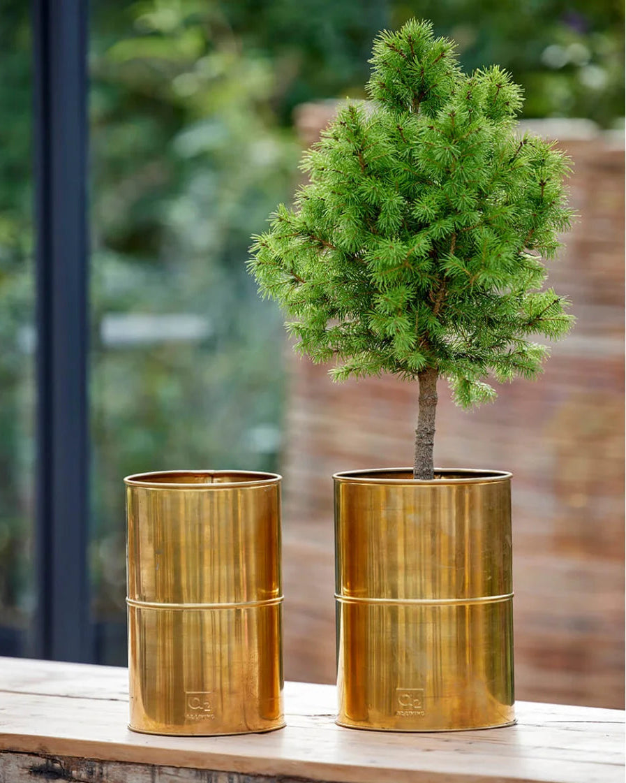 Messing vase Ø14 H20