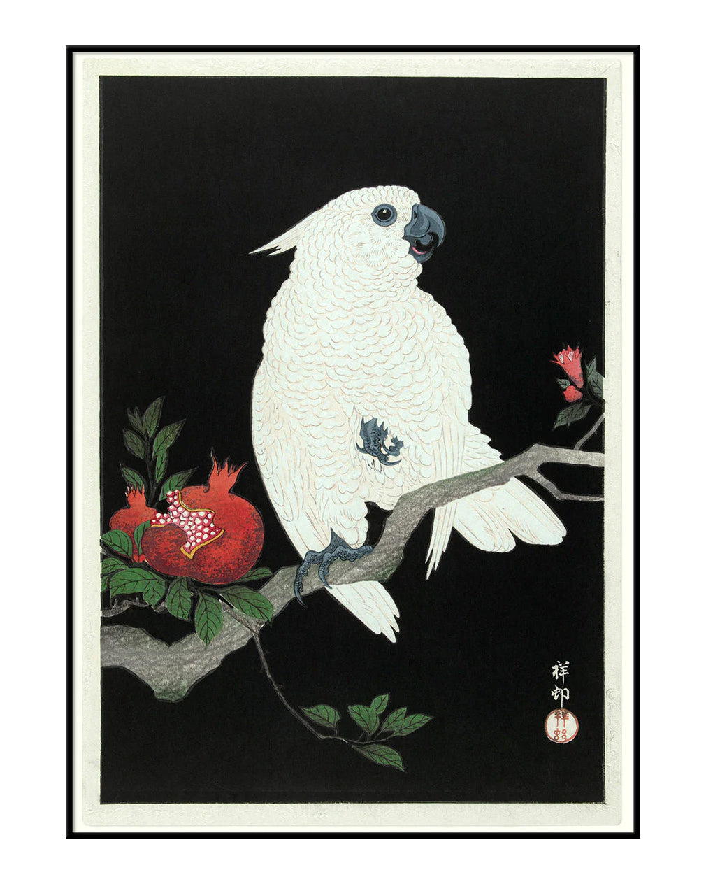 Cockatoo & Pomegranate
