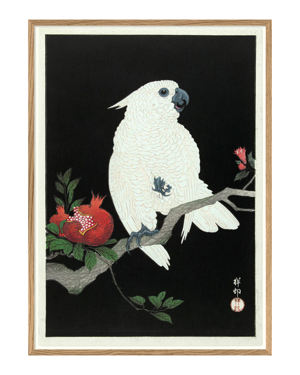 Cockatoo & Pomegranate