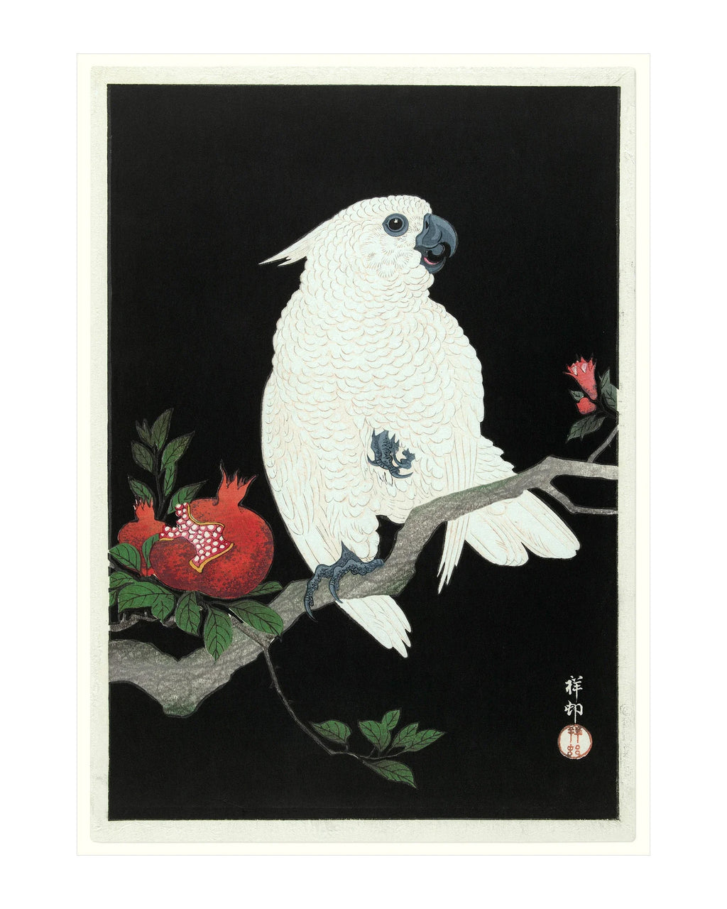 Cockatoo & Pomegranate