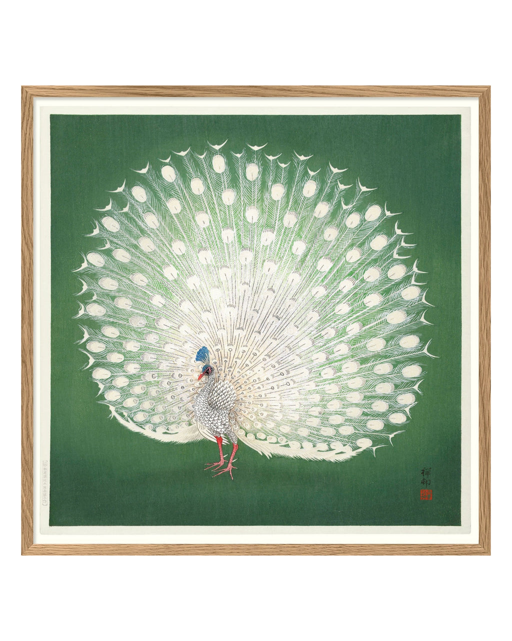 Peacock On Green