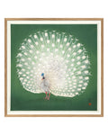 Peacock On Green