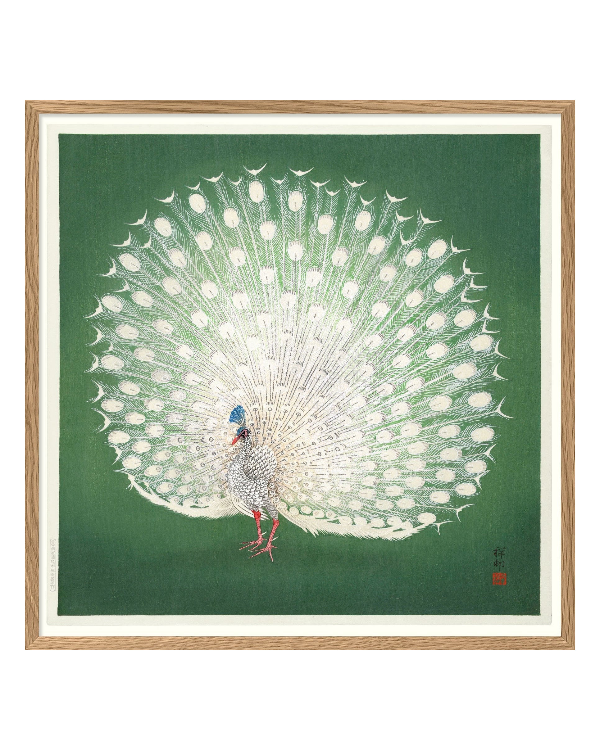 Peacock On Green