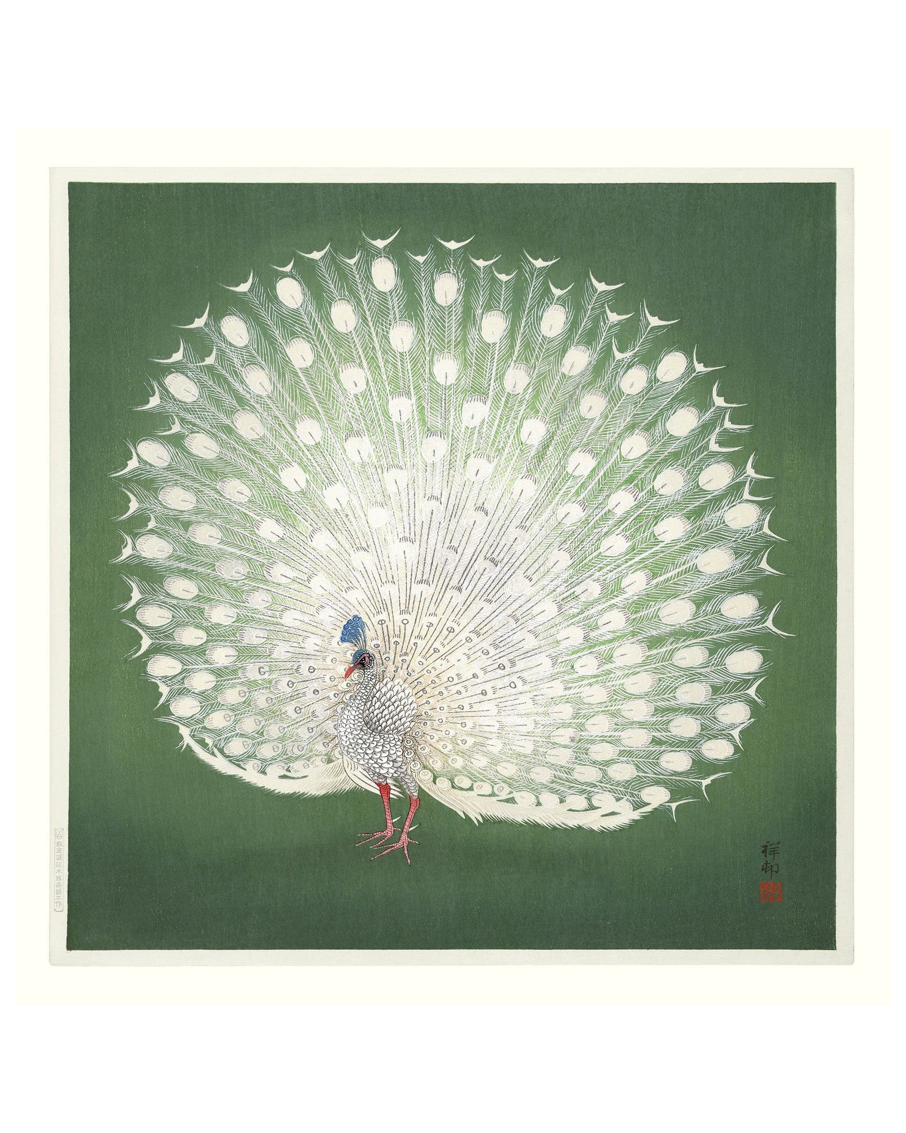 Peacock On Green