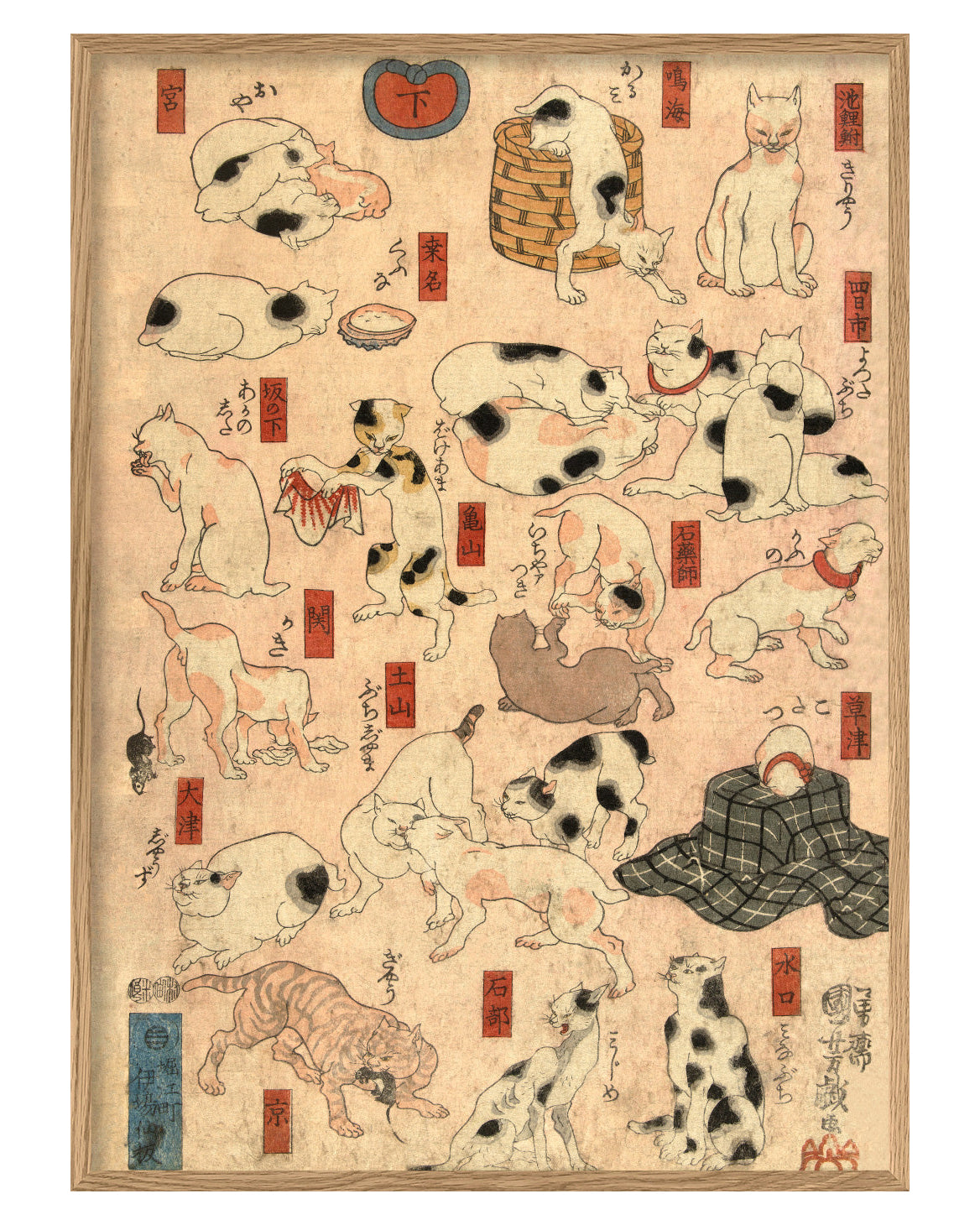 Japanese Station Cats