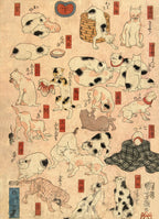 Japanese Station Cats