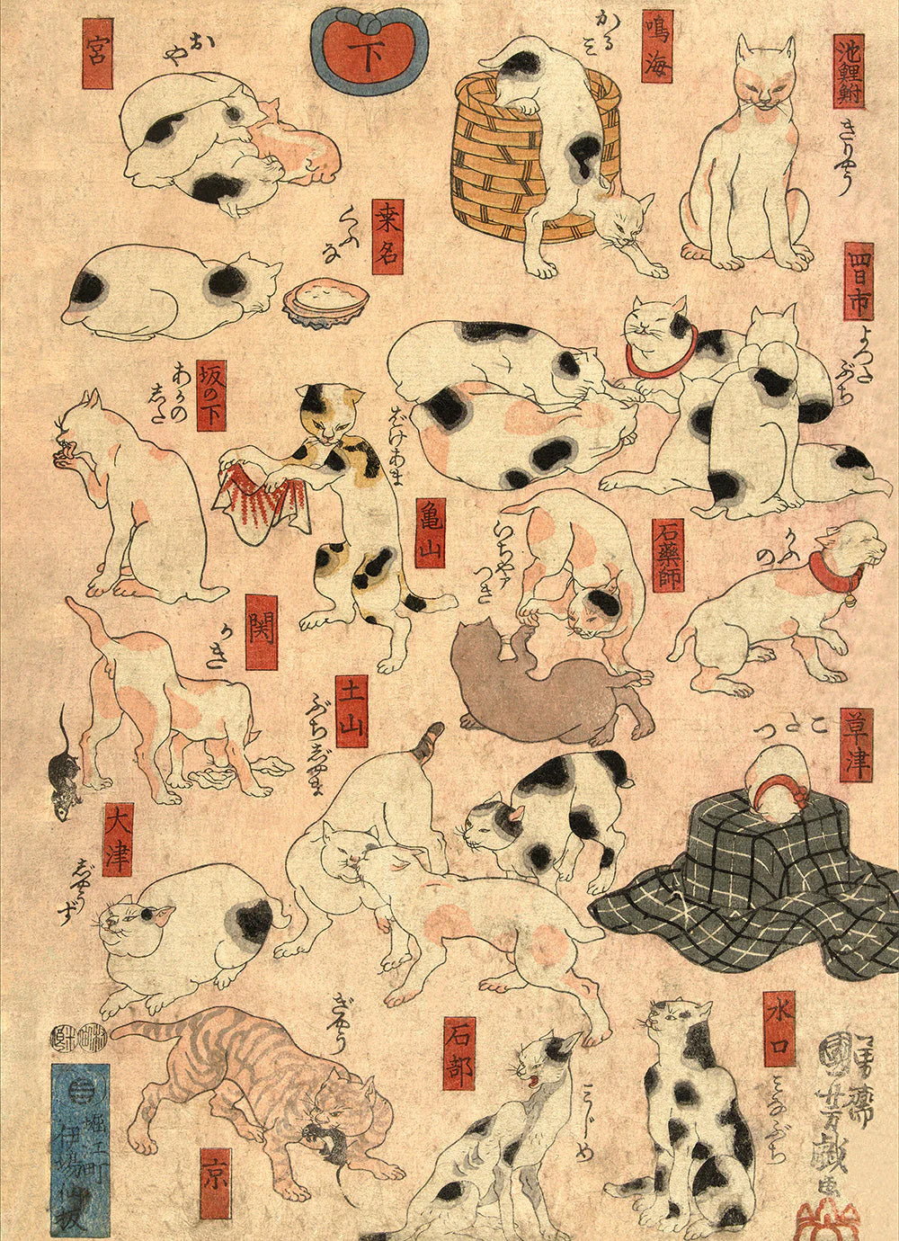 Japanese Station Cats