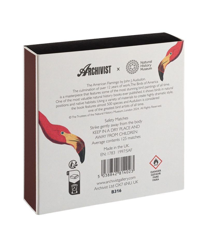 American Flamingo - Fyrstikker