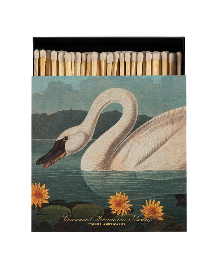 Common American Swan - Fyrstikker