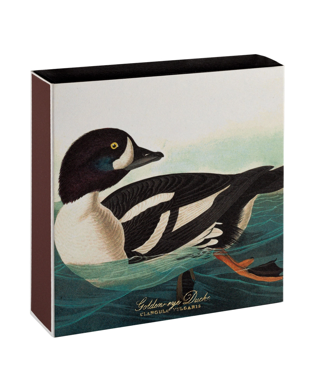 Golden-Eye Duck - Fyrstikker