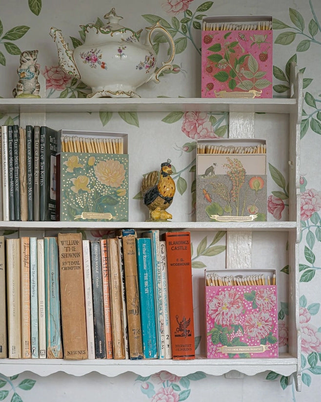 Chien Botanical Drawing - Fyrstikker