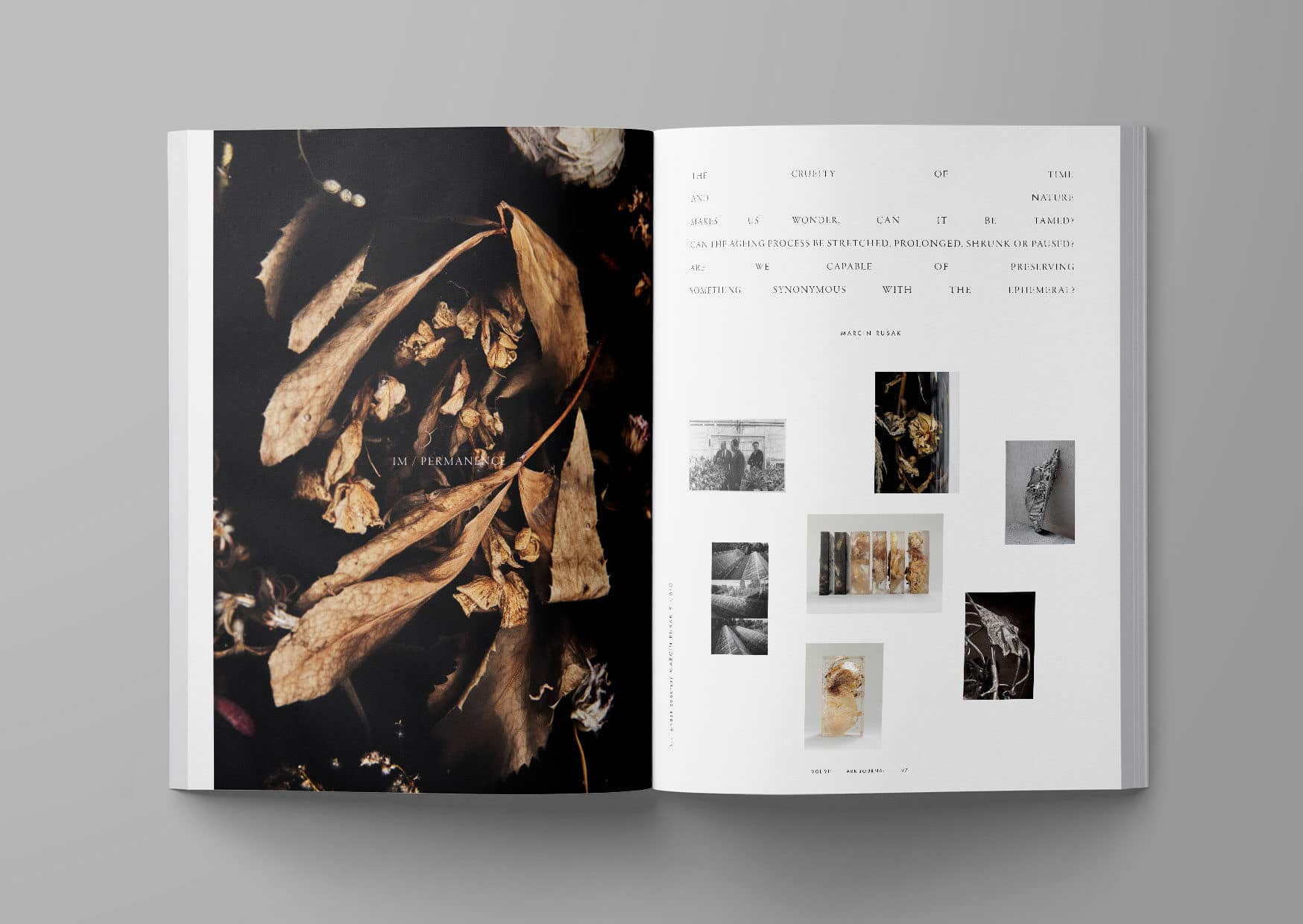 Ark Journal Magasin - Volume VII