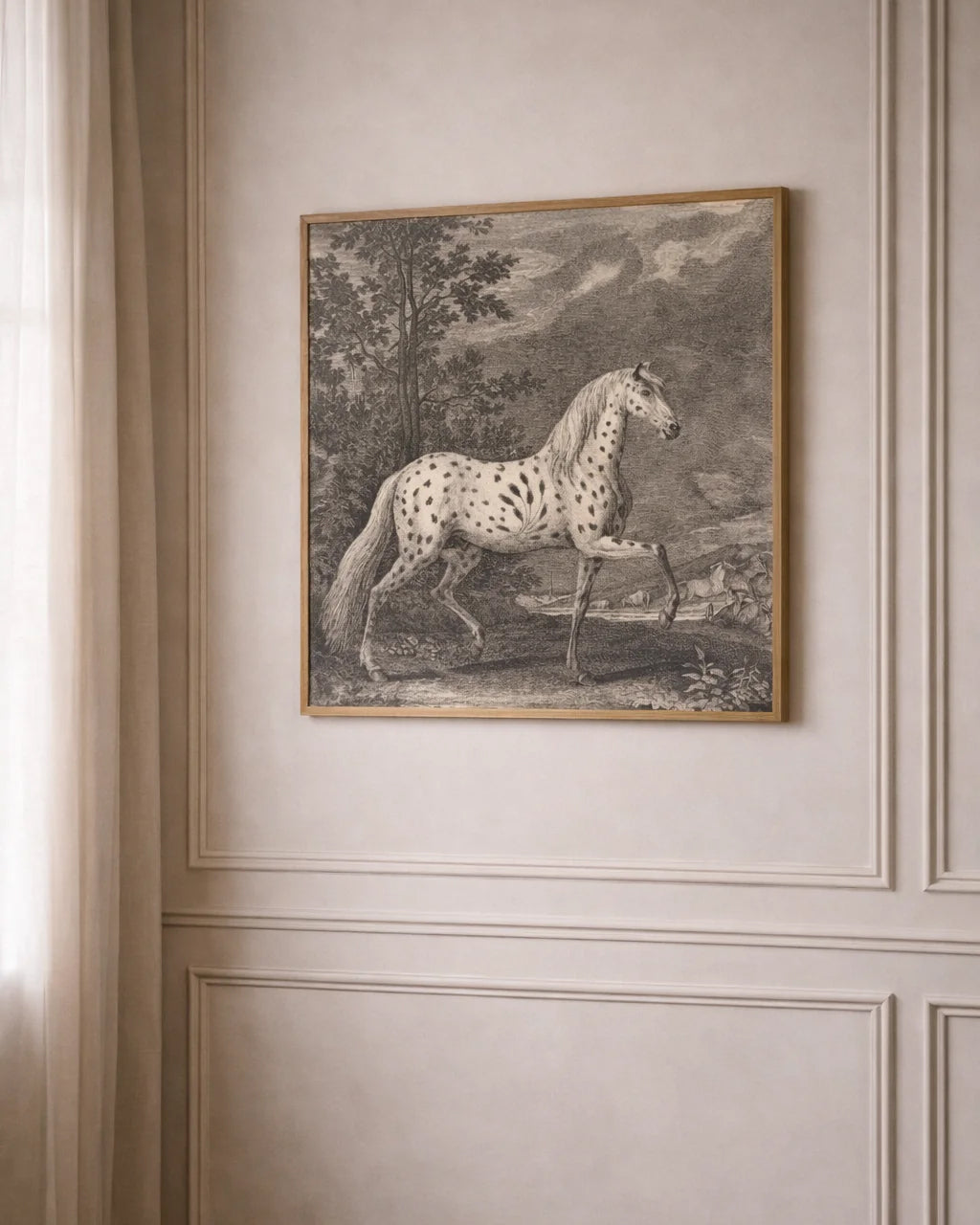 Appaloosa Horse