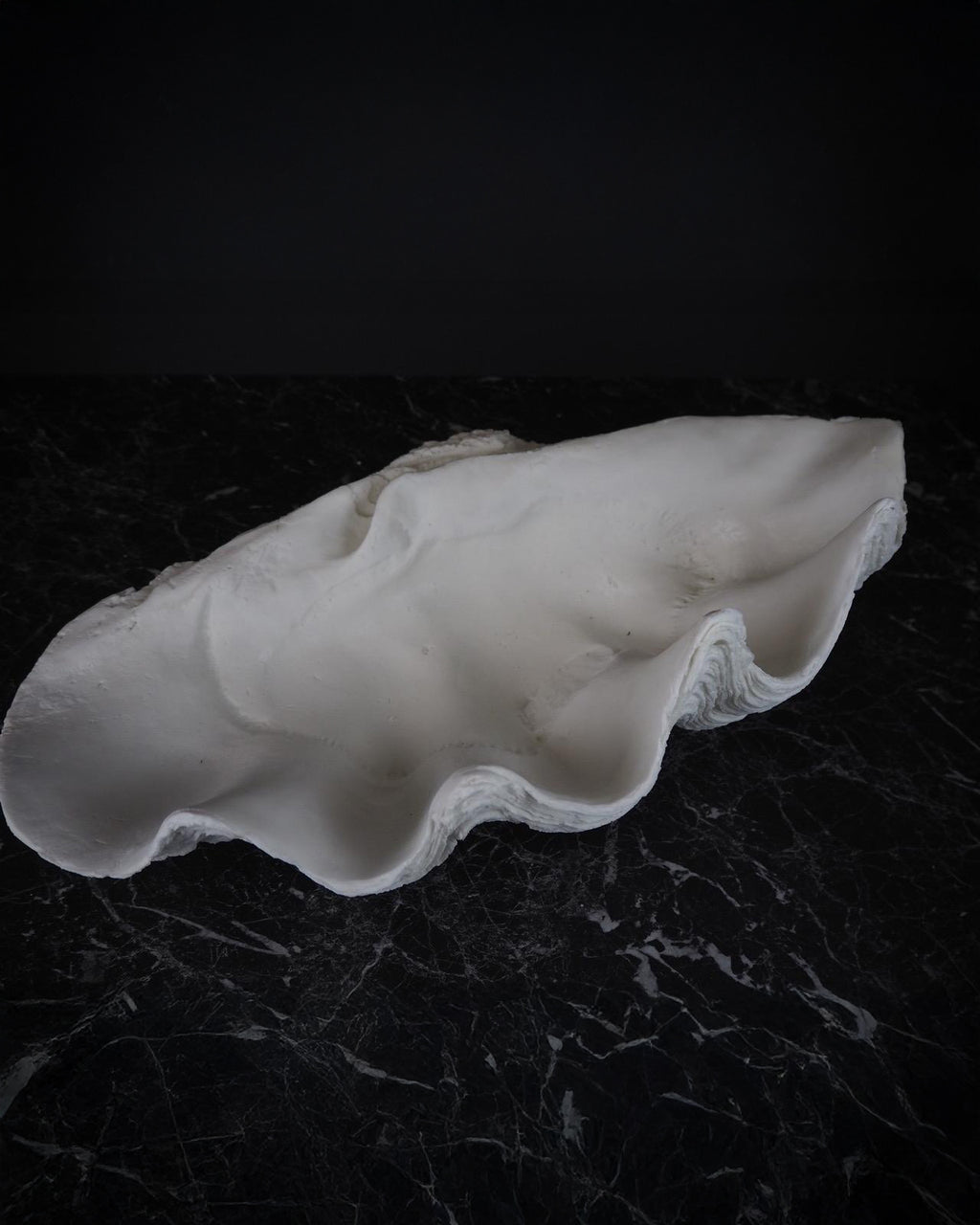 The Puerto Galera Skjell