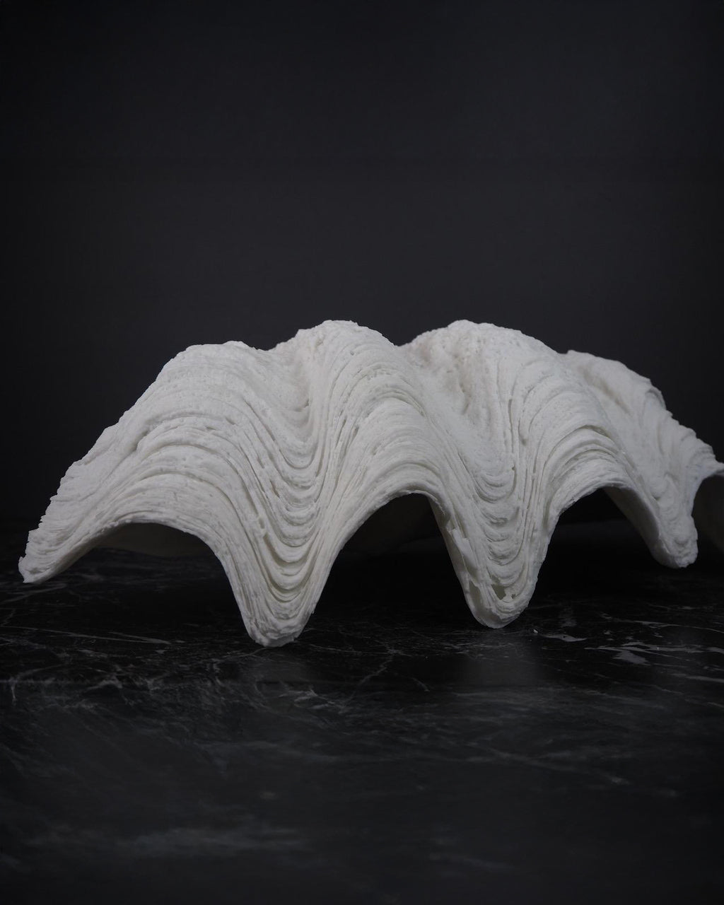 The Puerto Galera Skjell