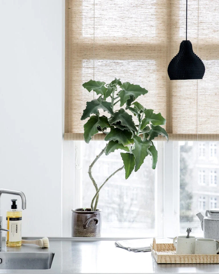 Rullegardin - Brun Plante