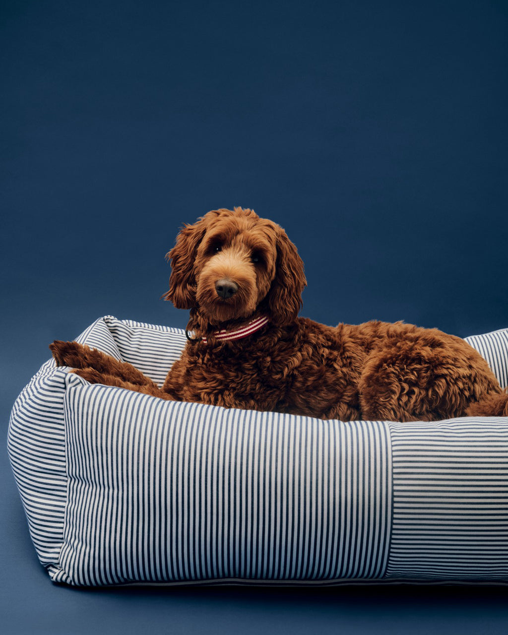 Hundeseng Large - Blå/Hvit