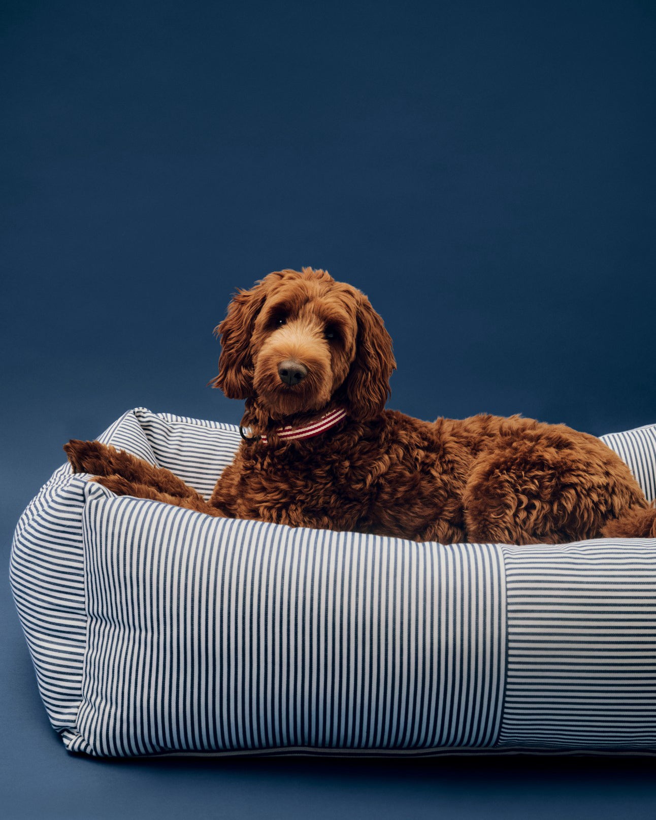 Hundeseng Large - Blå/Hvit