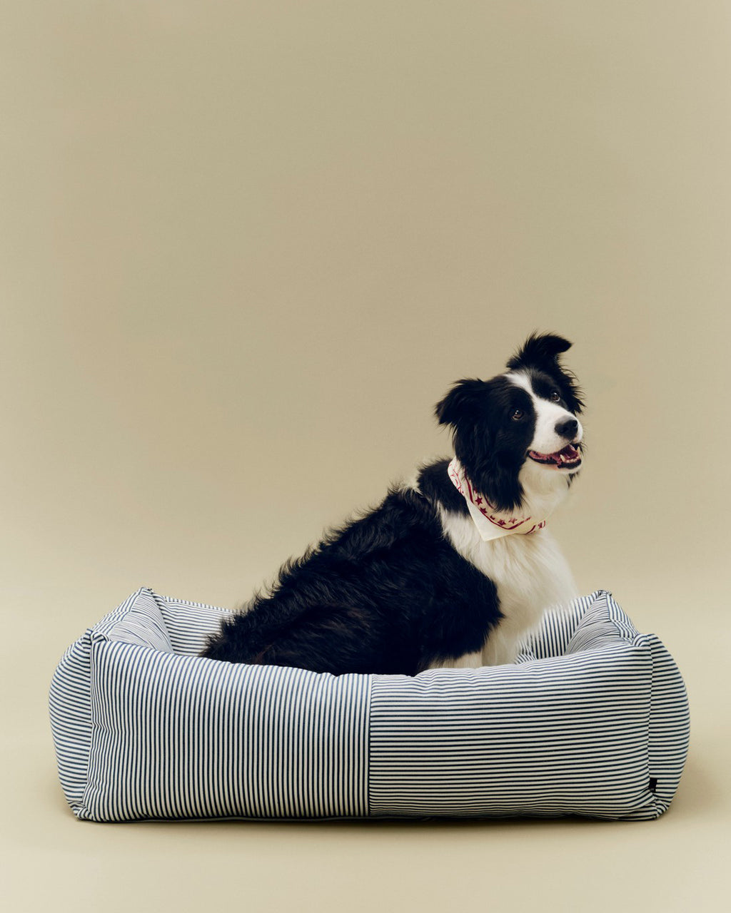 Hundeseng Large - Blå/Hvit