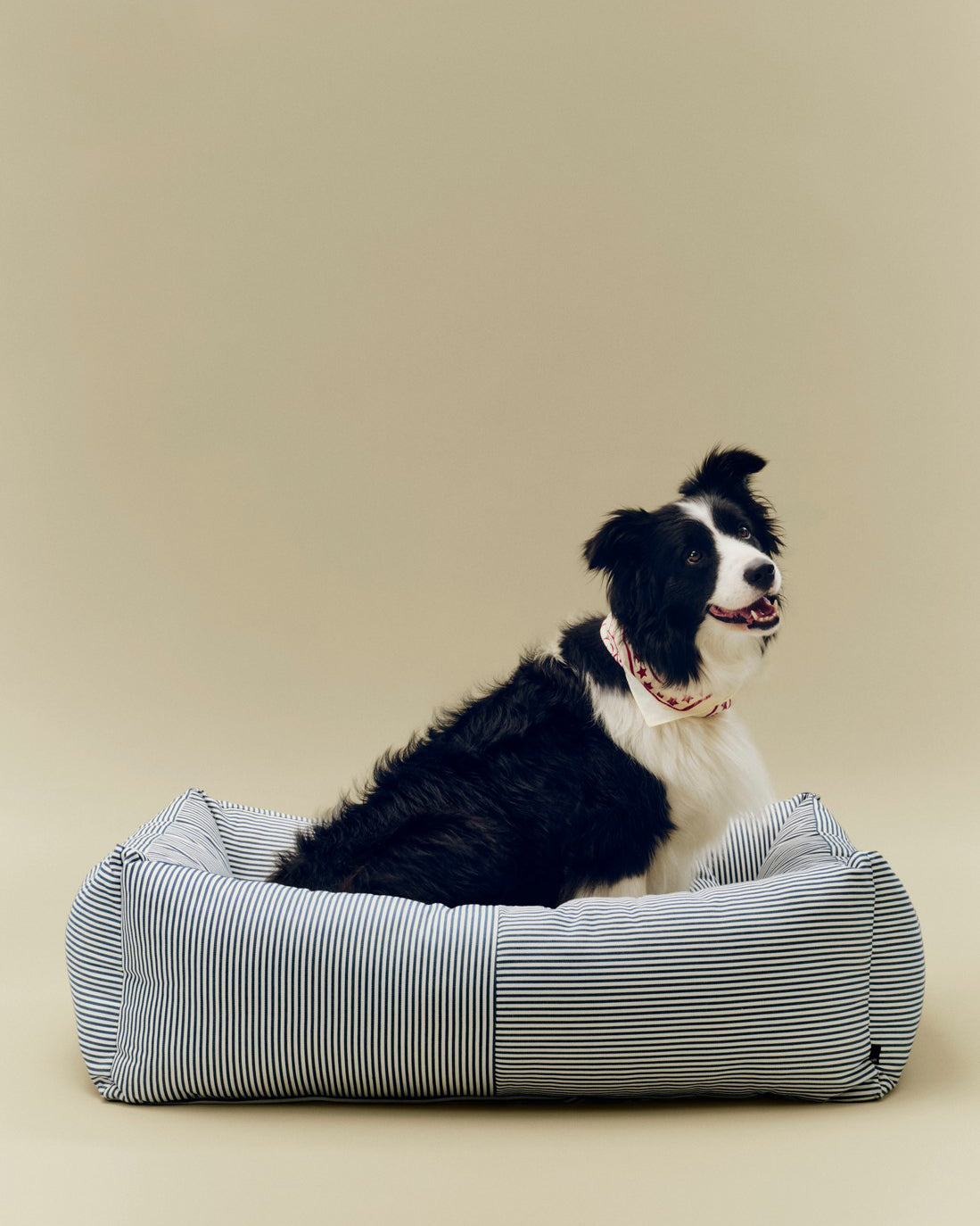 Hundeseng Large - Blå/Hvit