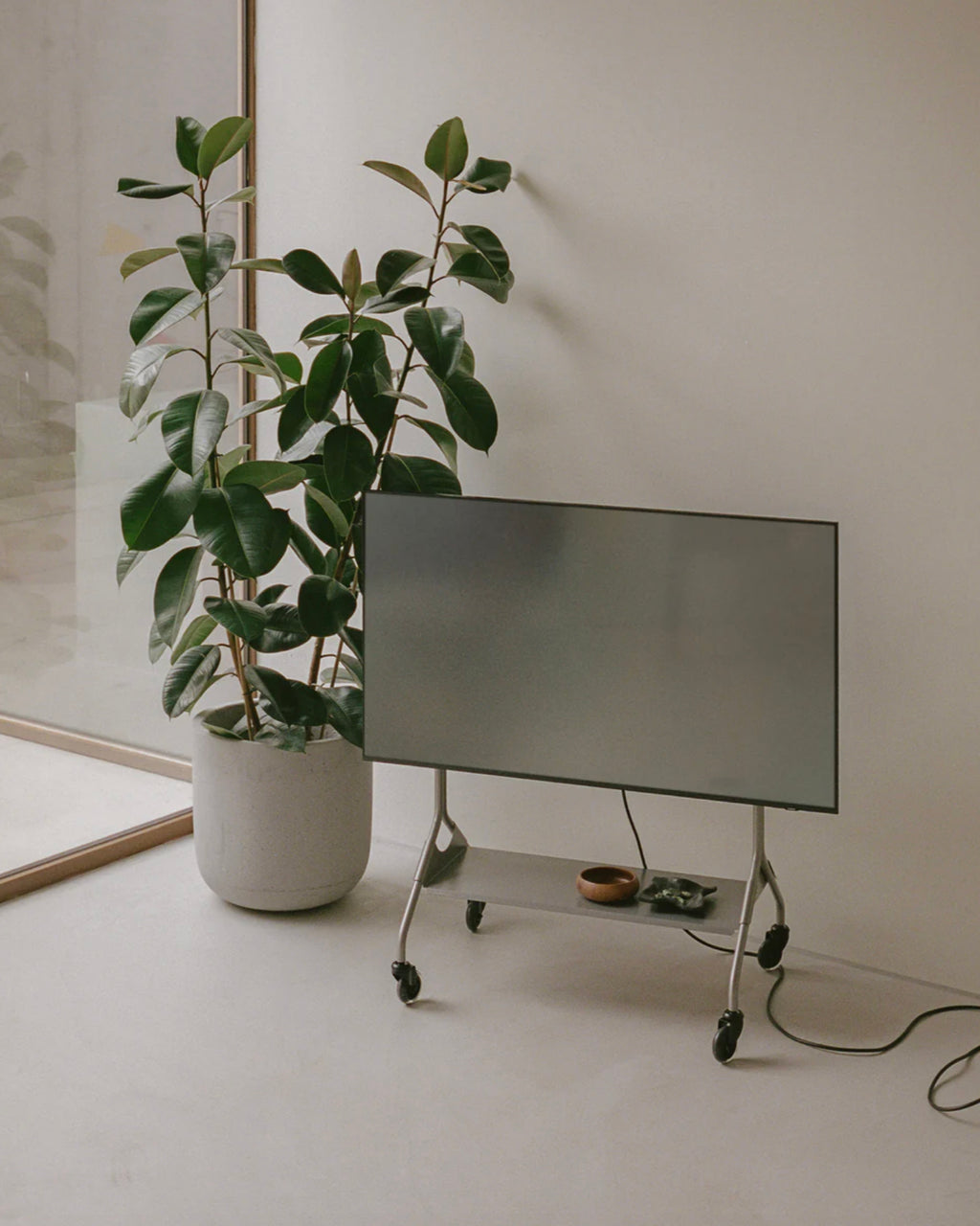 TV-Stativ - Moon RAW