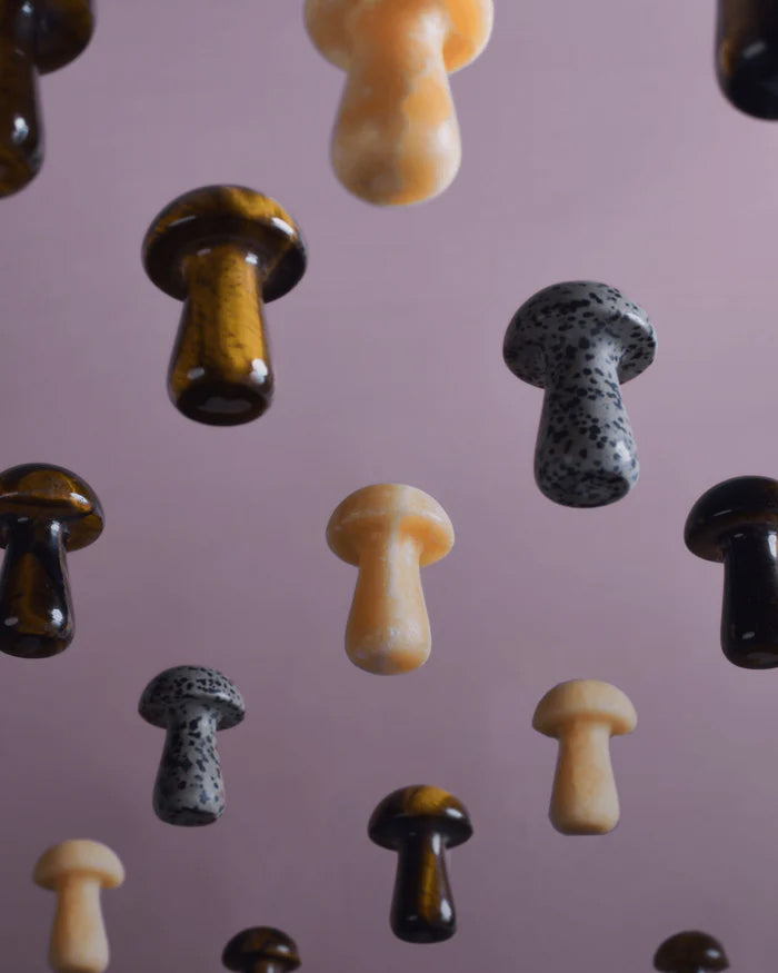 Gua-Shroom - Unakite