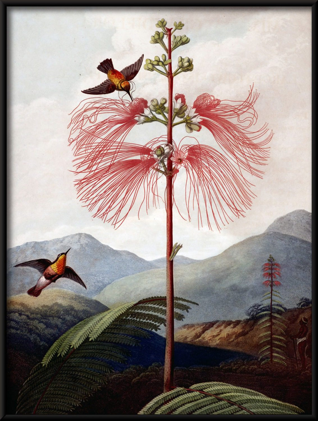 The Tree of Flowers