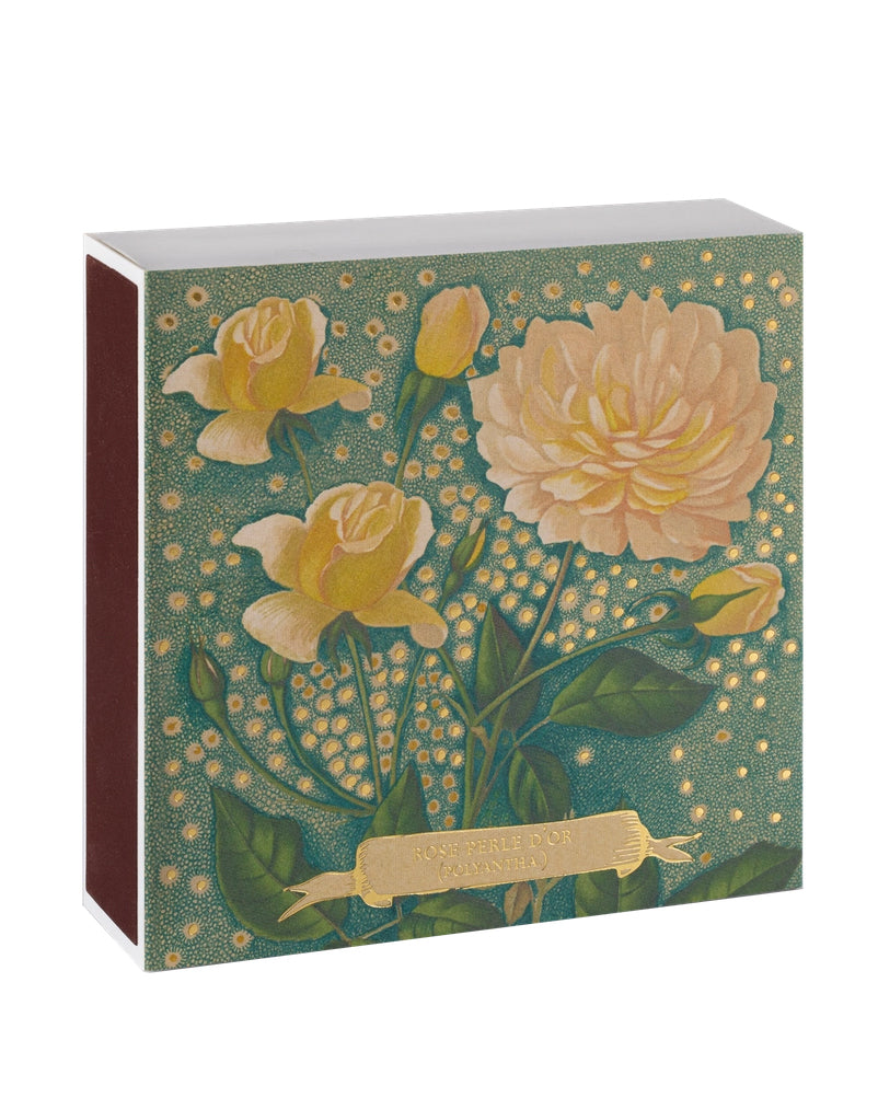 Rose Perle d'or - Fyrstikker