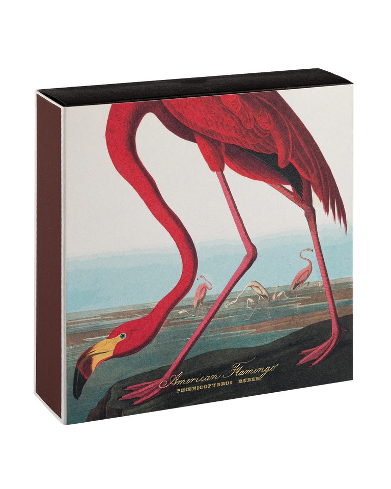 American Flamingo - Fyrstikker