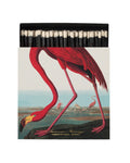 American Flamingo - Fyrstikker