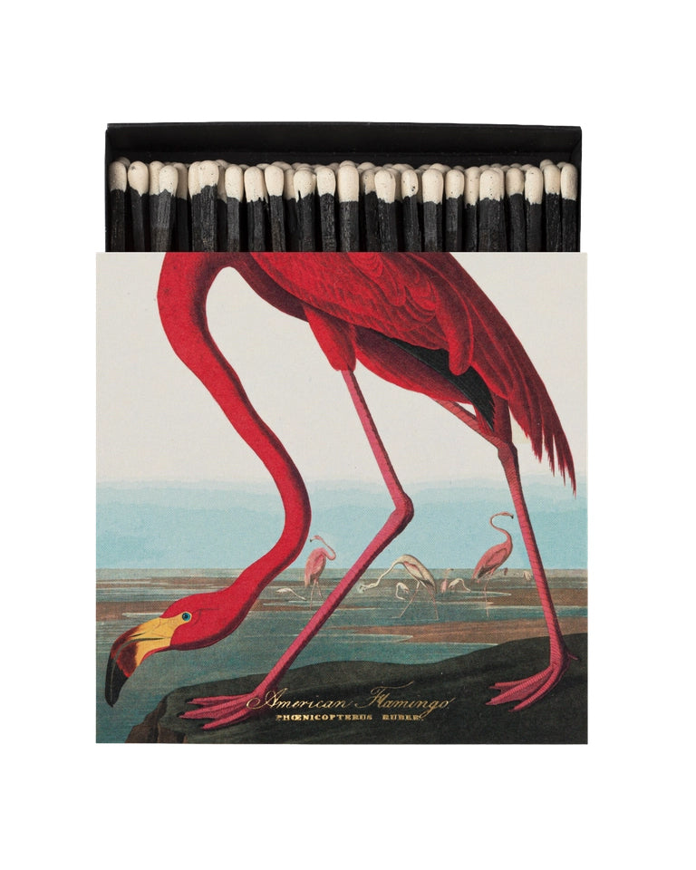 American Flamingo - Fyrstikker