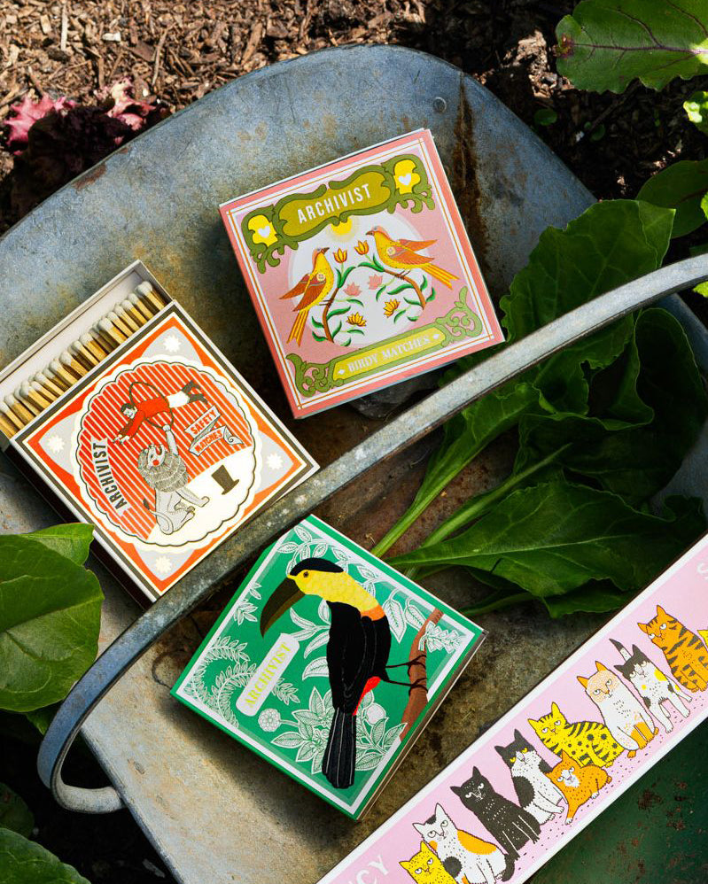 Ariane's Birdy - Fyrstikker