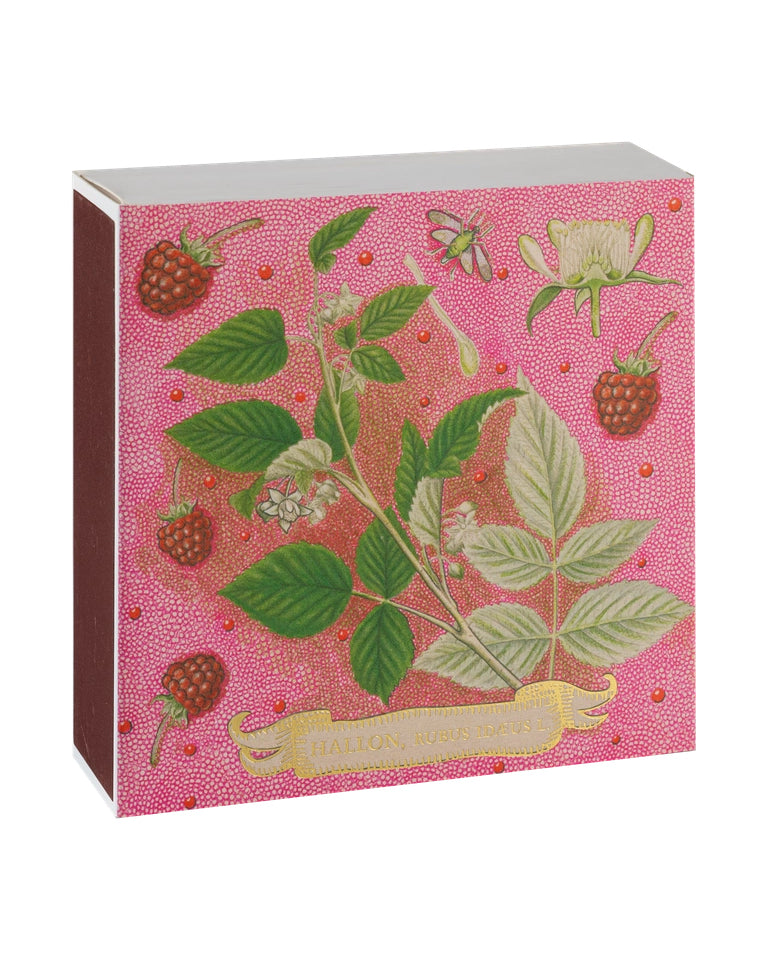 Rose Framboise - Fyrstikker