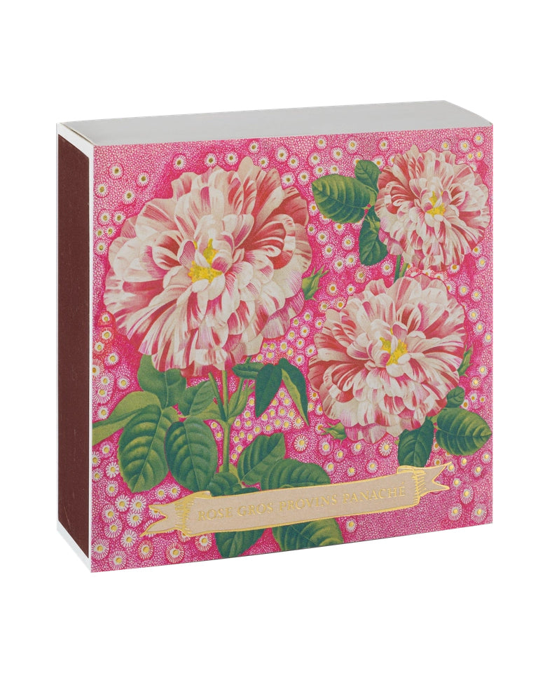 Rose Provin Petunia - Fyrstikker