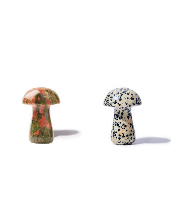 Gua-Shroom - Unakite
